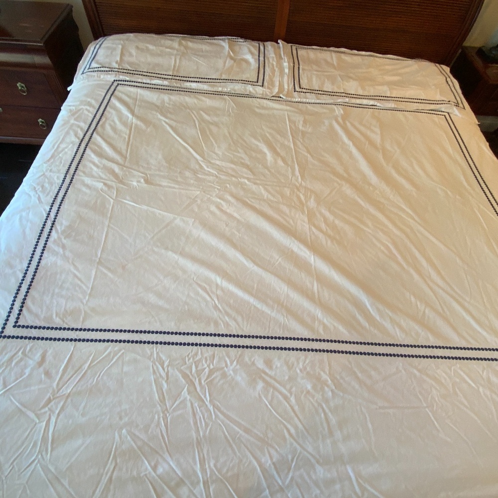 Pottery Barn King pearl embroidered duvet cover, 2 King shams